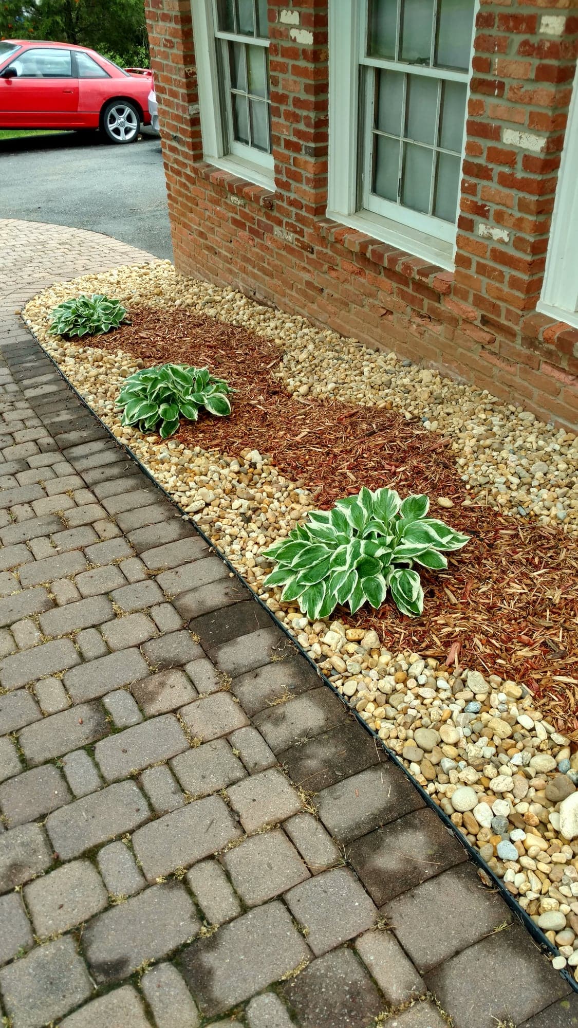 Hostas in fresh mulch with river-rock edging along a paver walkway and brick building in Chantilly